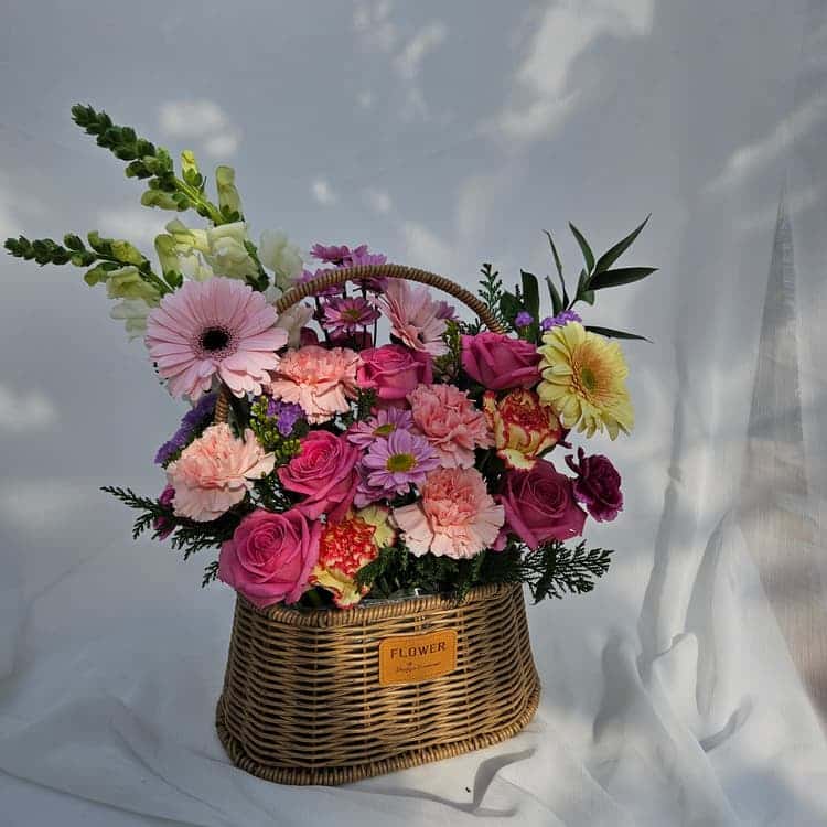 feed image 3