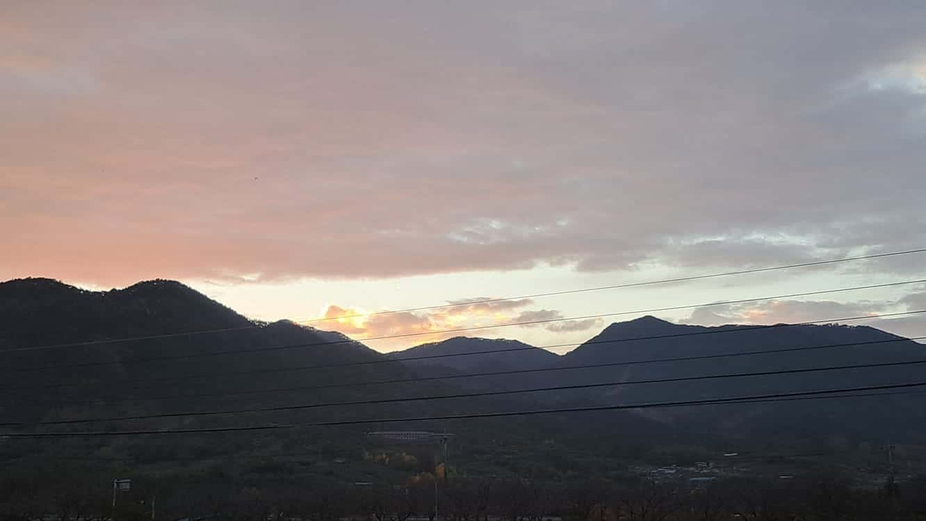 feed image 3