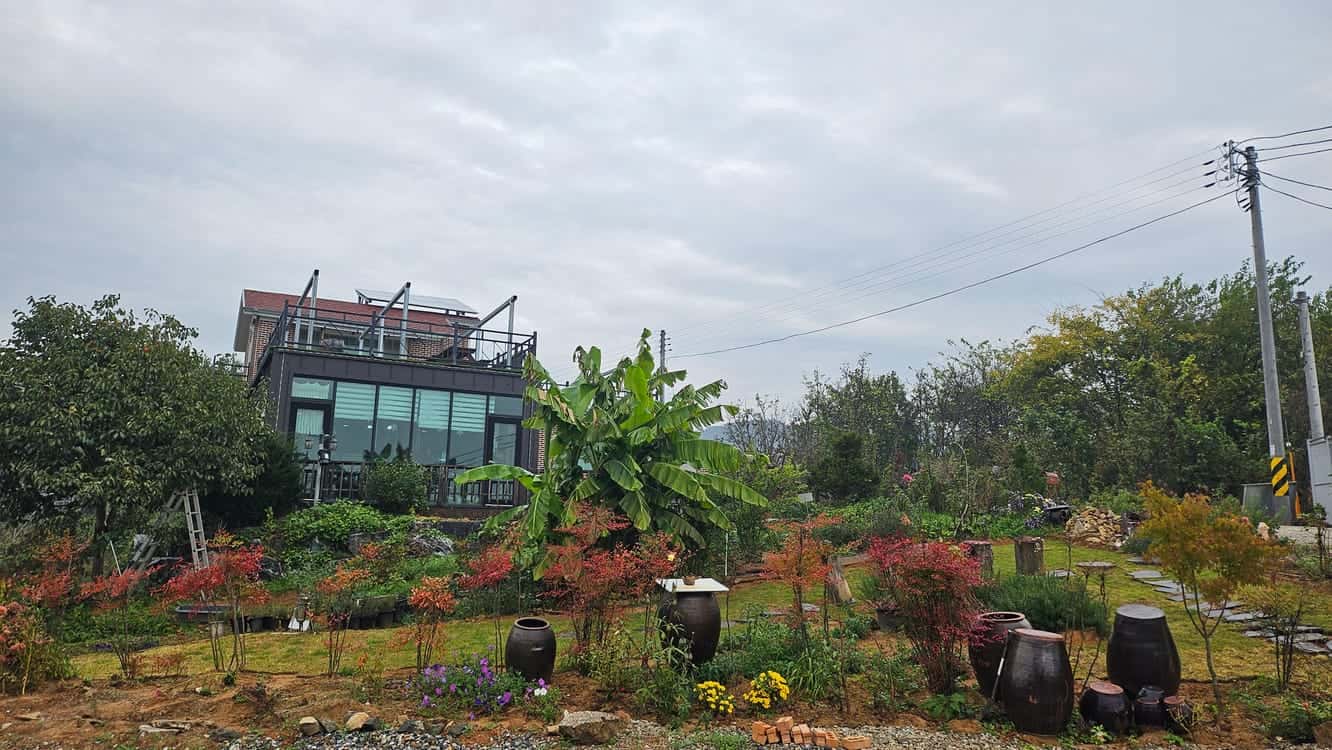 feed image 1