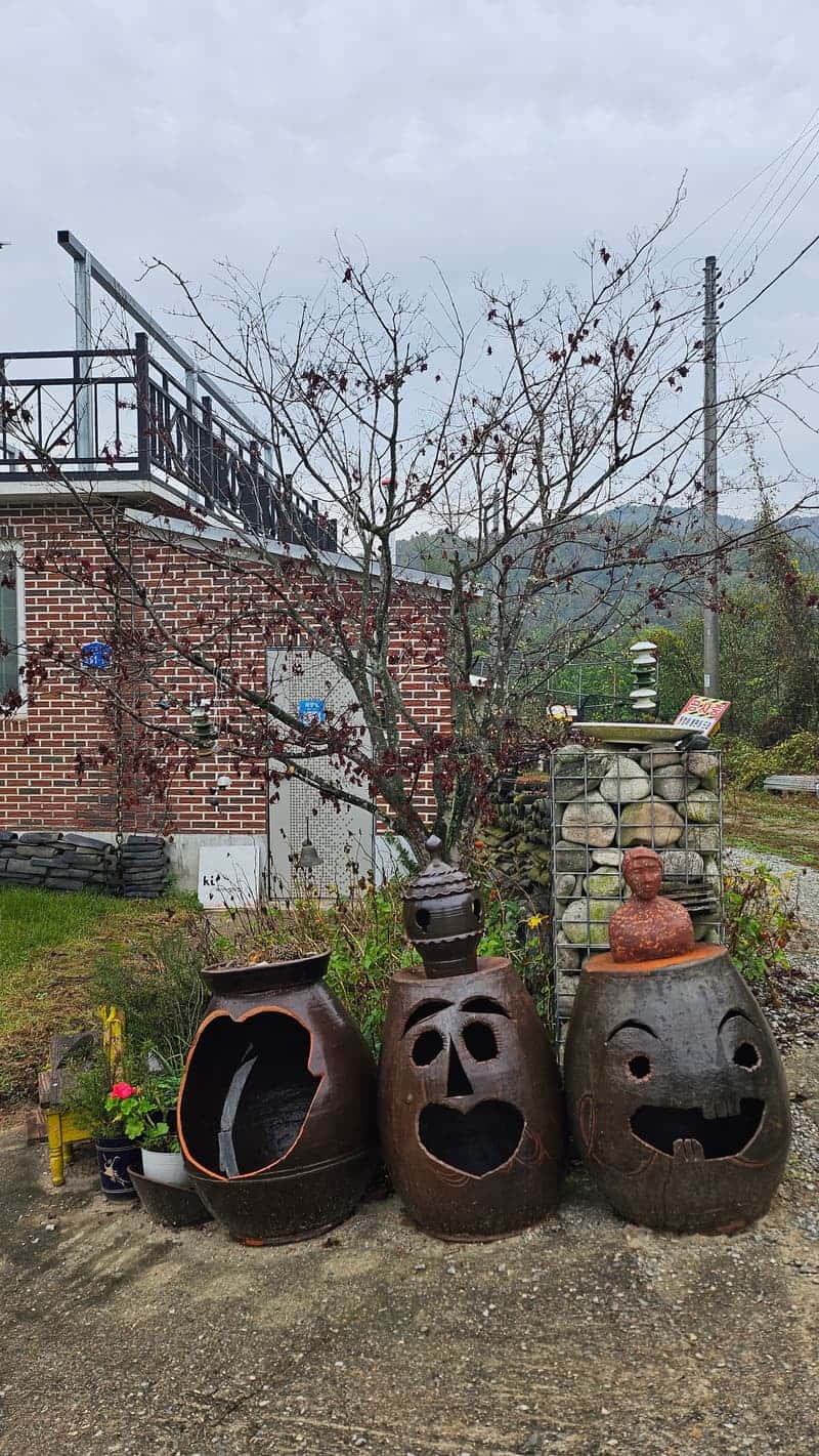 feed image 3