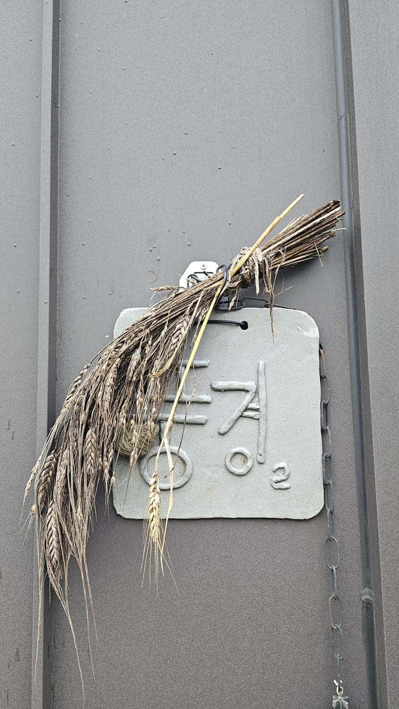 feed image 4