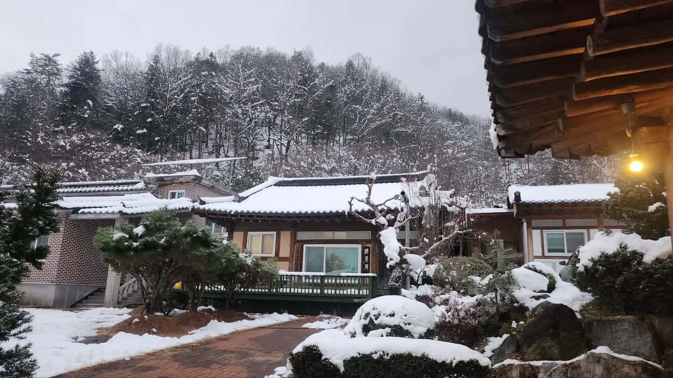 feed image 1