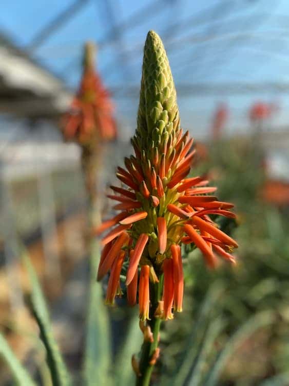 feed image 2