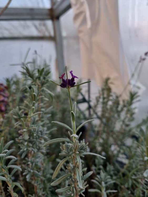 feed image 4