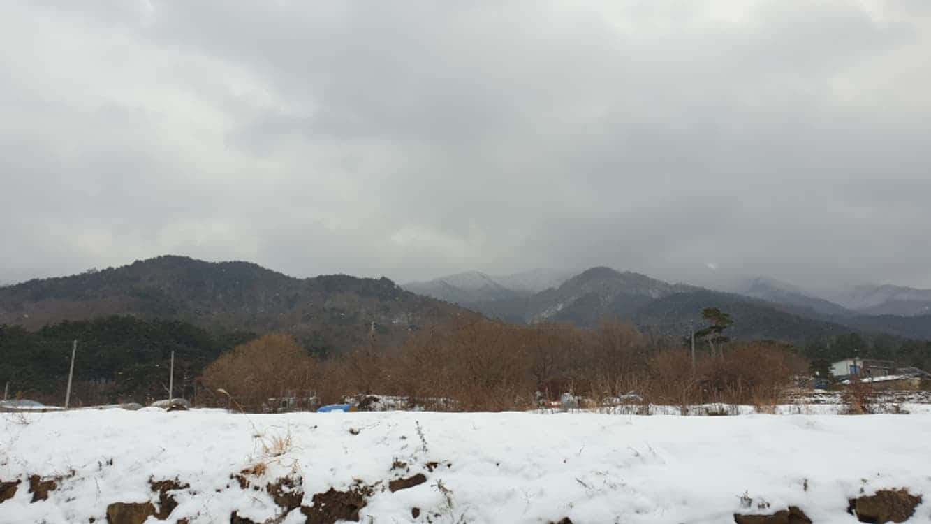 feed image 1