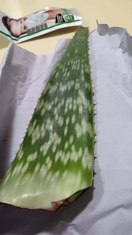 feed image 4