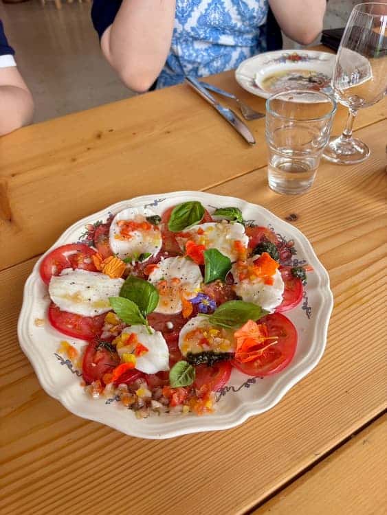 feed image 4