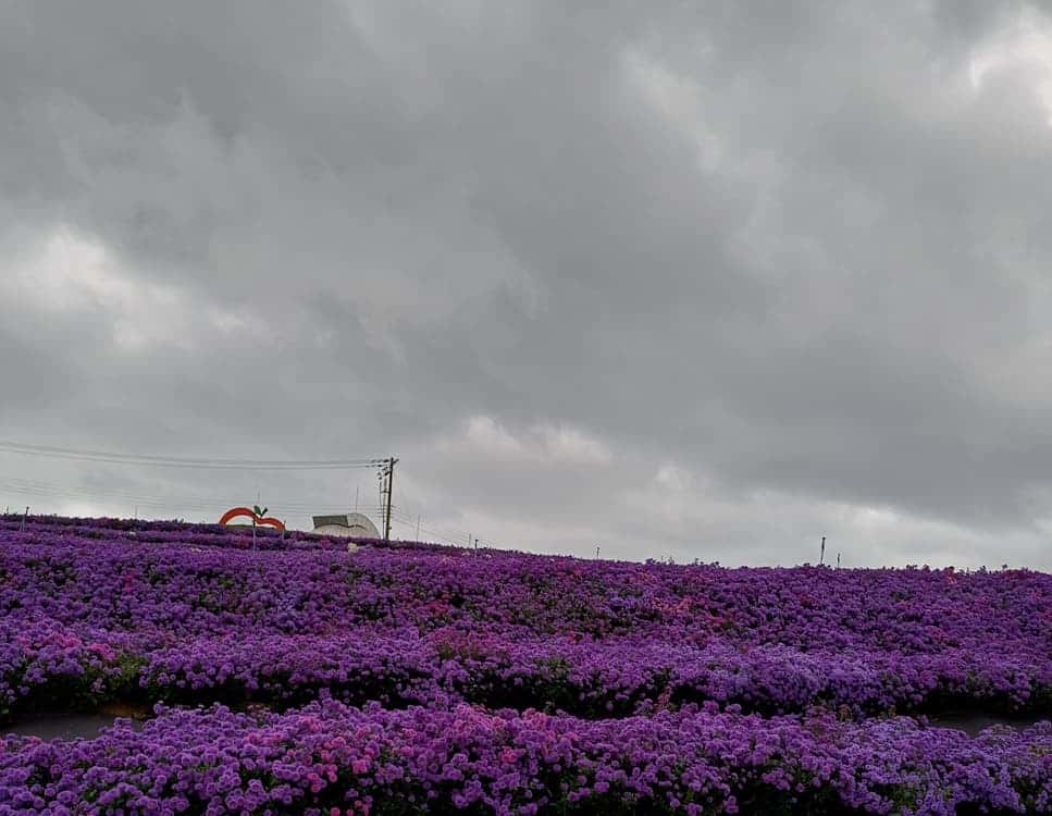 feed image 2