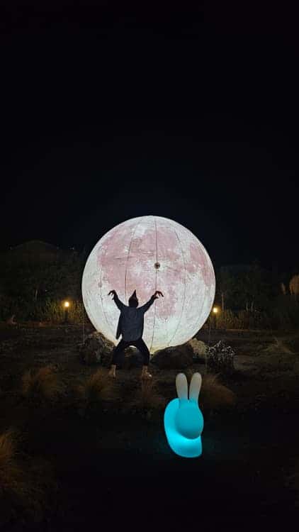 feed image 4