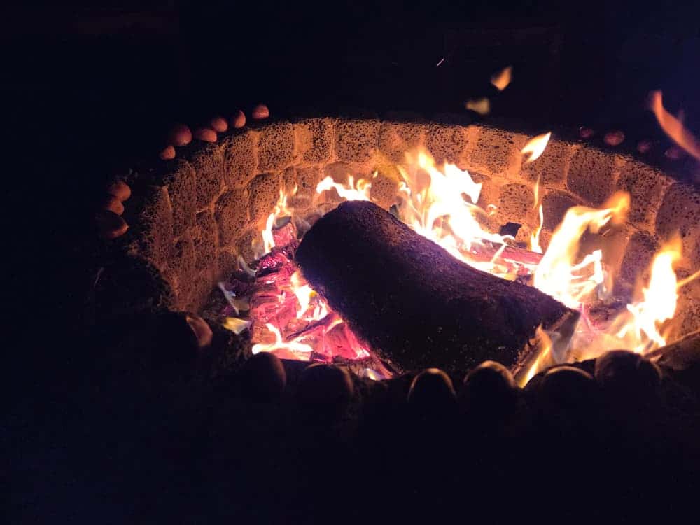 feed image 1