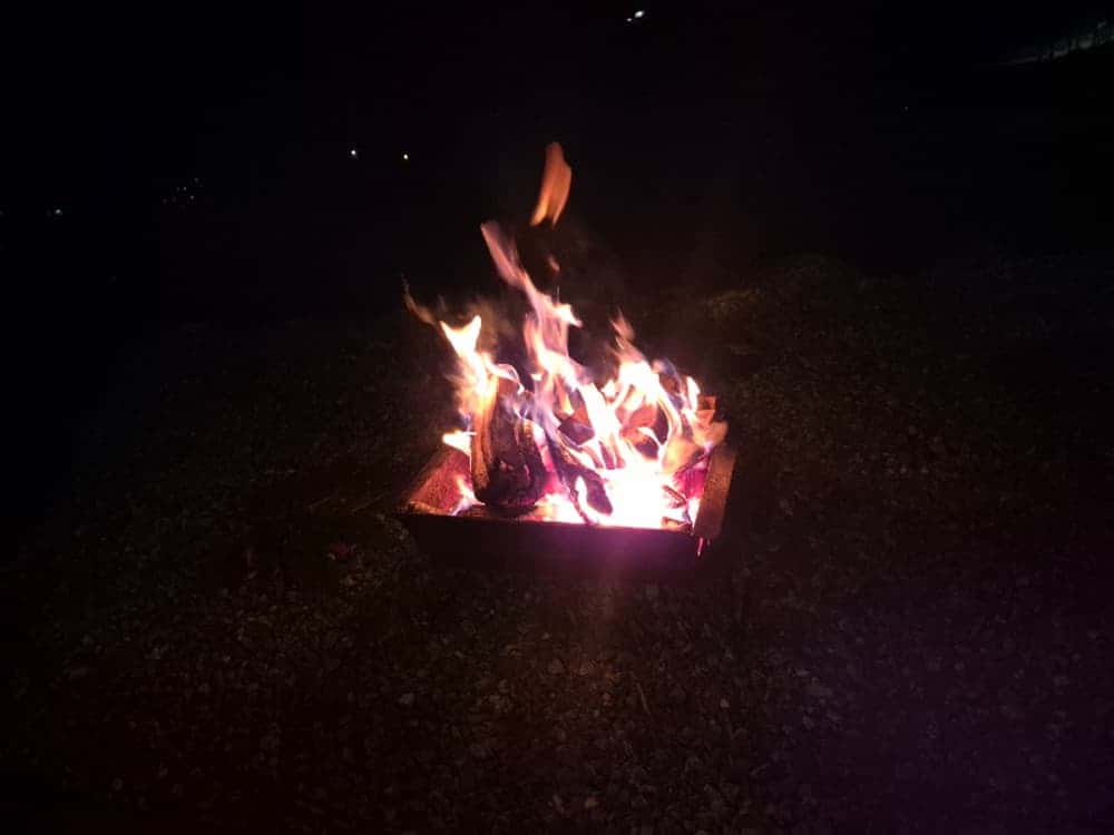feed image 3