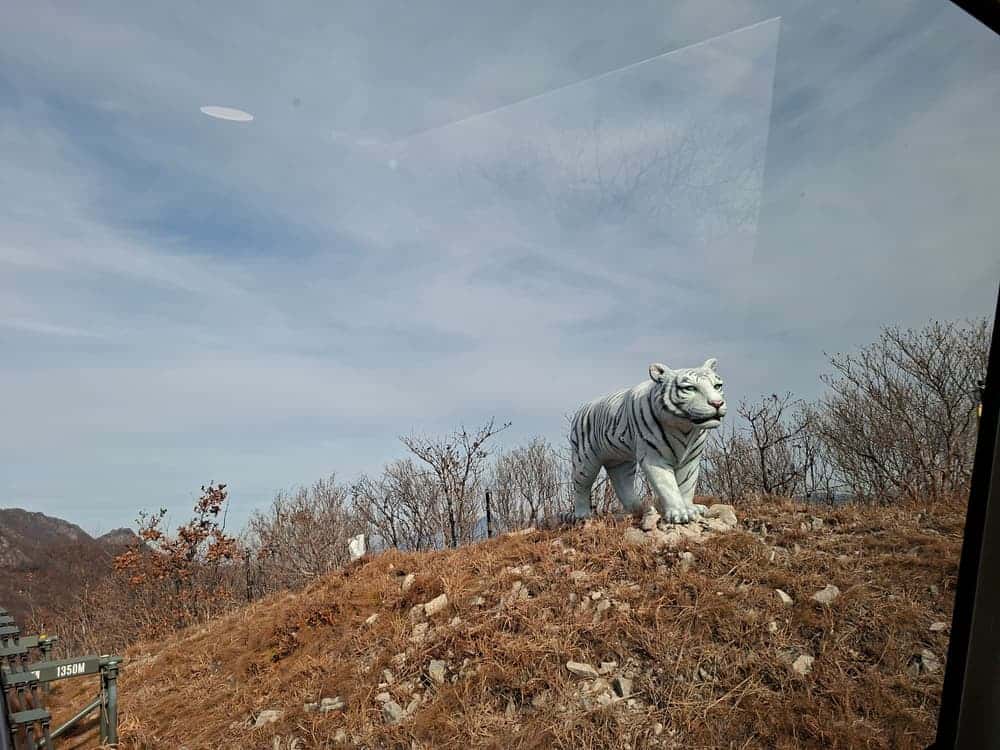 feed image 4