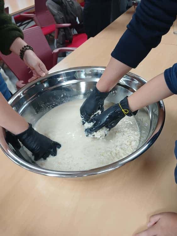 feed image 1