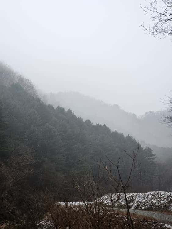 feed image 1