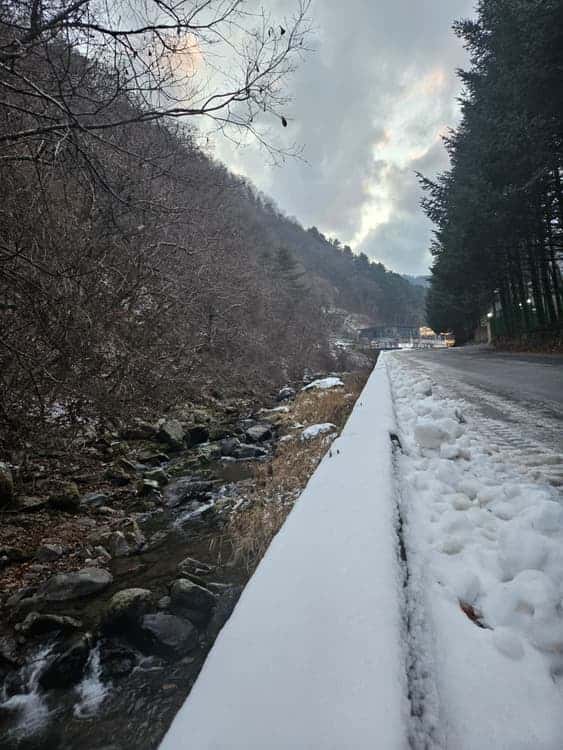 feed image 4