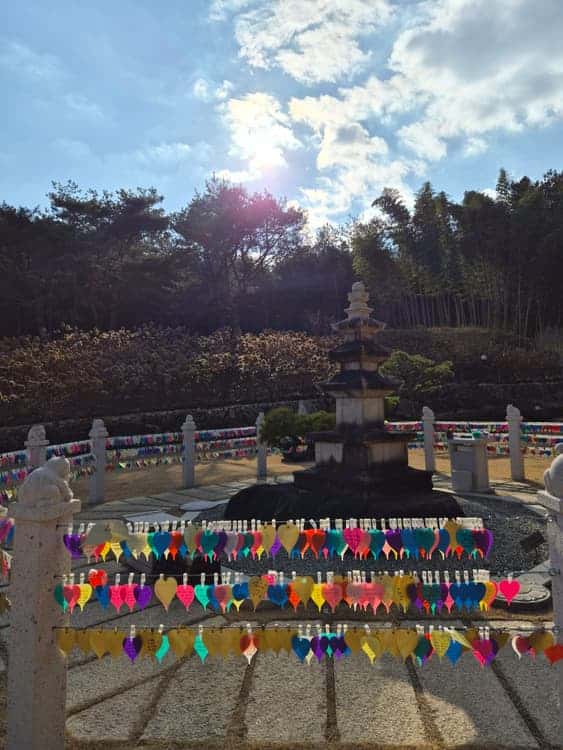 feed image 2