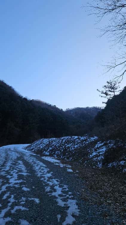 feed image 1