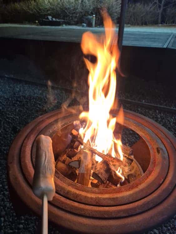 feed image 4