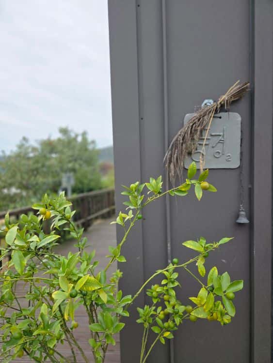 feed image 4