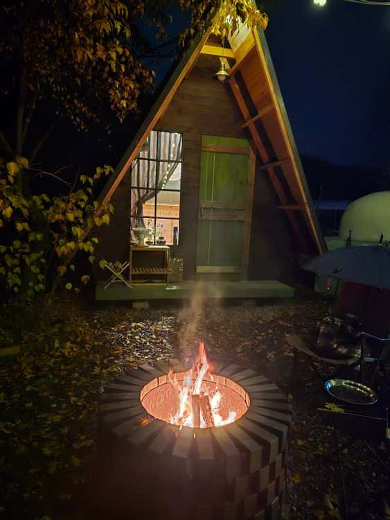 feed image 2