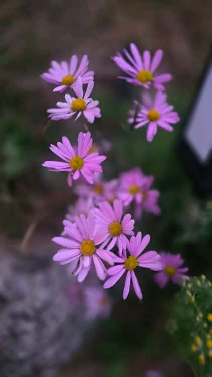 feed image 3