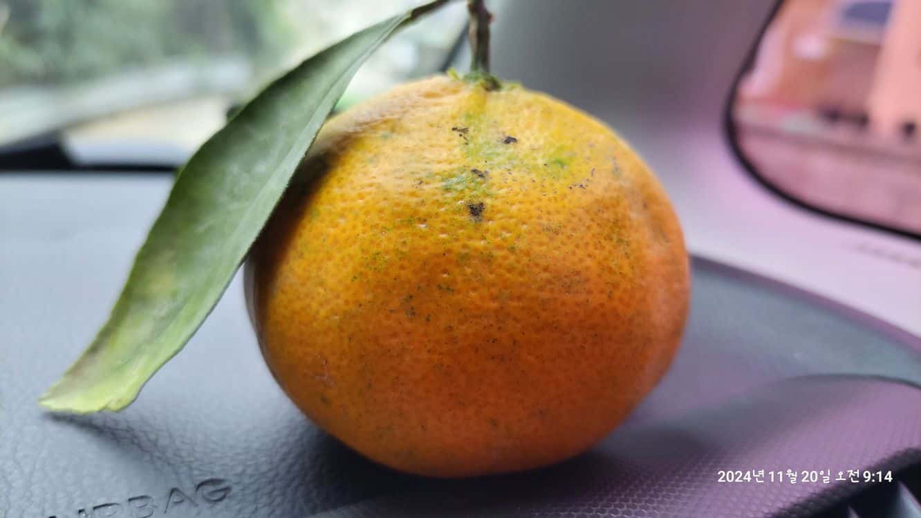 feed image 1